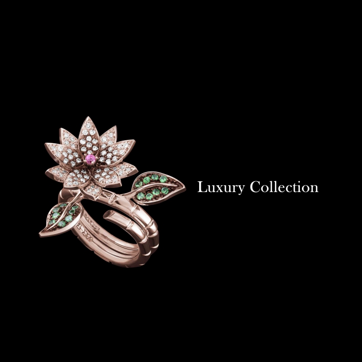 Luxury Collection